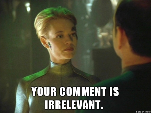 ST Voyager meme: Your comment is irrelevant